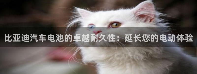 优发国际手机客户端官网下载