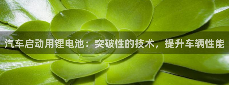 优发国际平台g8怎么样