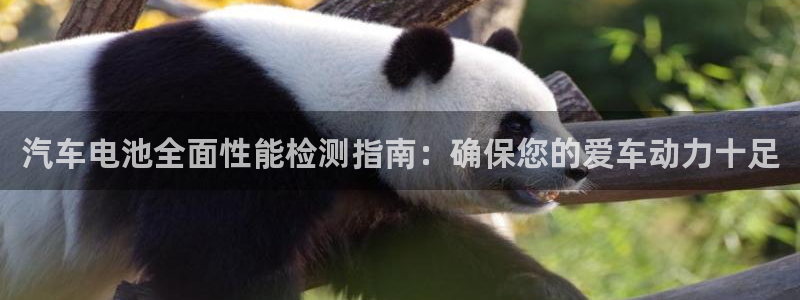优发国际集团股份有限公司是国企吗