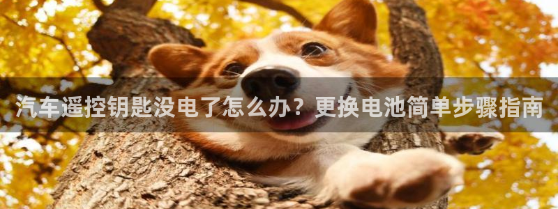 优发国际平台u8是什么