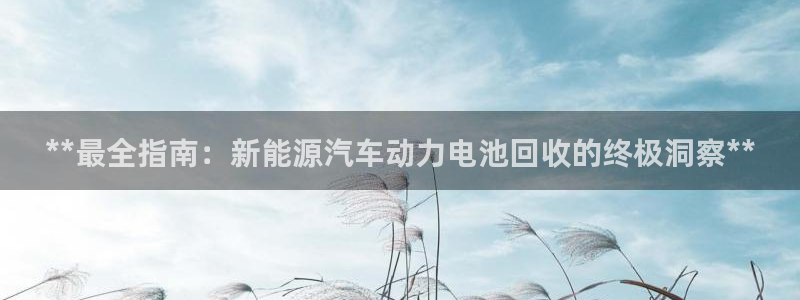 优发国际平台手机版下载官网