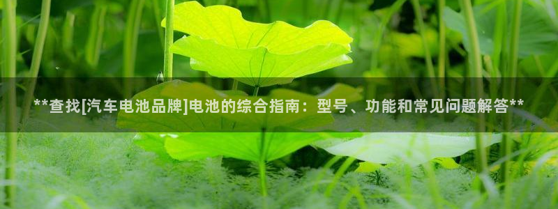 优发国际网站
