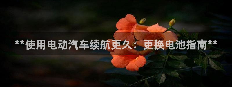 优发国际官方网手机版下载安装