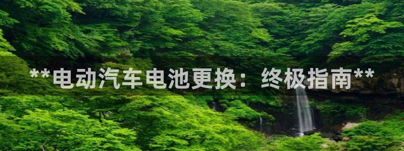 优发国际官方网：**电动汽车电池更换：终极指南**
