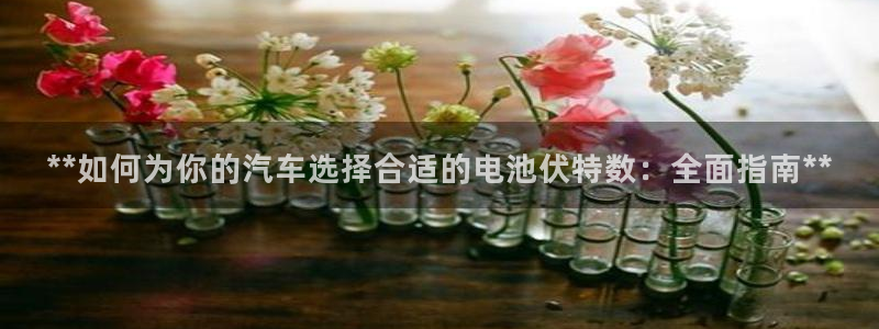 优发国际登陆u