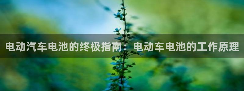优发国际网官网址是多少