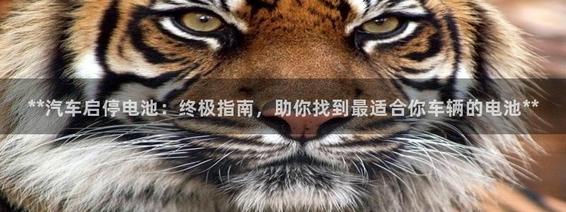 优发国际网官网址是多少