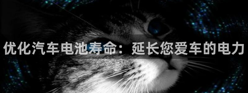 优发国际官网手机版下载安卓