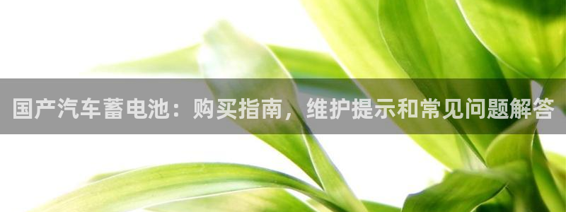 优发国际怎么样