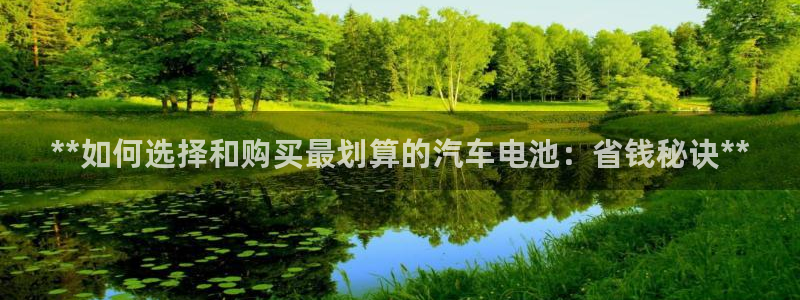 优发国际平台g80：**如何选择和购买最划算的汽车电池：省钱秘诀**