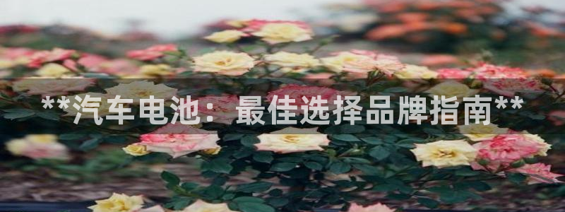 优发国际首页