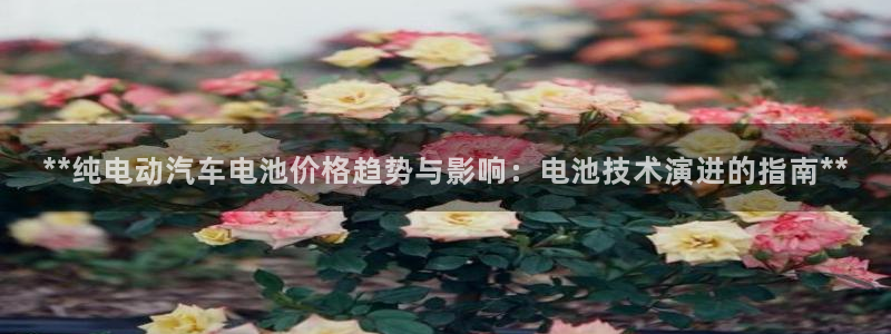 优发国际安卓版下载安装：**纯电动汽车电池价格趋势与影响：电池技术演进的指南**
