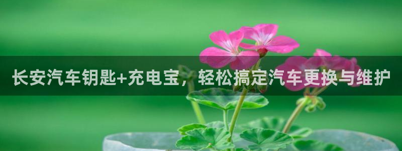 优发国际的官网是正品吗