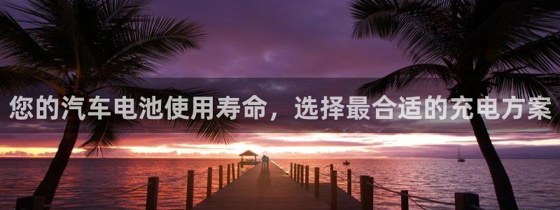 优发国际手机app下载安装苹果：您的汽车电池使用寿命，选择最合适的充电方案