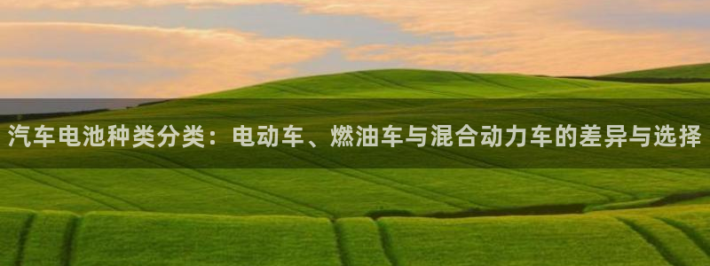 优发国际平台手机版下载安装