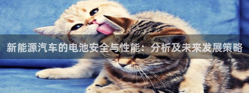 优发国际客服联系方式电话：新能源汽车的电池安全与性能：分析及未来发展策略
