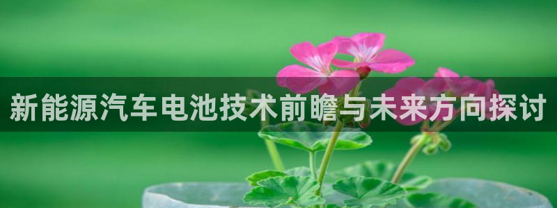 优发国际网官网17k8：新能源汽车电池技术前瞻与未来方向探讨