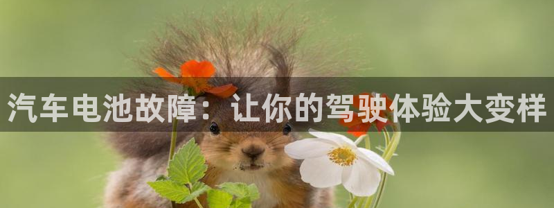 u优发国际首页：汽车电池故障：让你的驾驶体验大变样