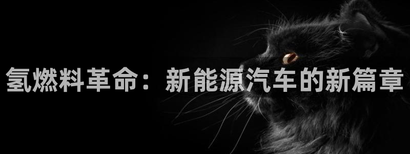 优发国际不出款怎么办：氢燃料革命：新能源汽车的新篇章