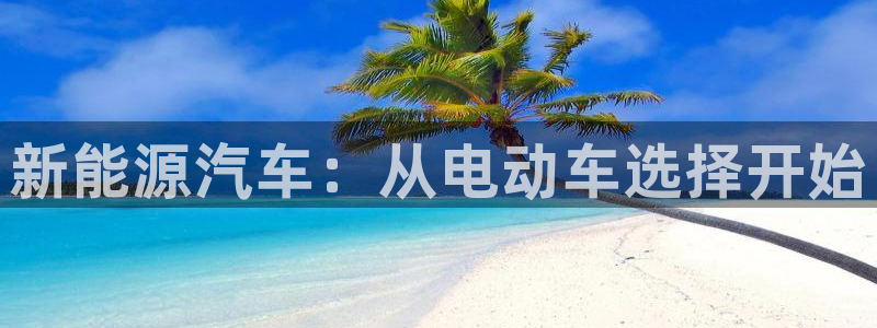 优发国际下载app：新能源汽车：从电动车选择开始