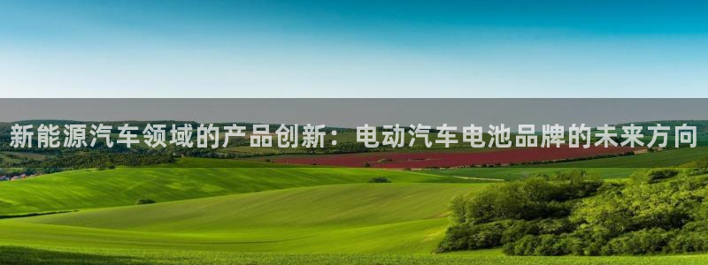 优发国际集团股份有限公司招聘：新能源汽车领域的产品创新：电动汽车电池品牌的未来方向