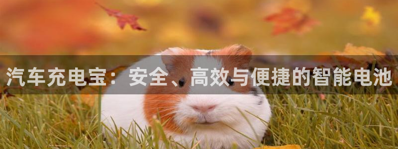 优发国际不出款：汽车充电宝：安全、高效与便捷的智能电池