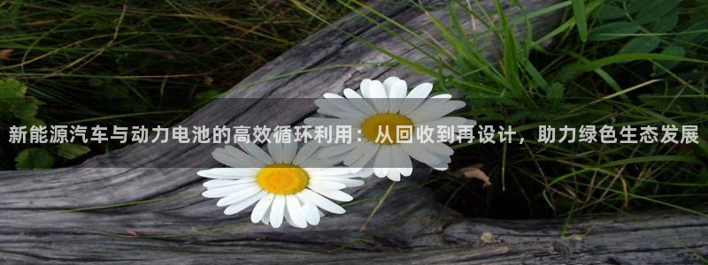优发国际登录l8：新能源汽车与动力电池的高效循环利用：从回收到再设计，助力绿色生态发展