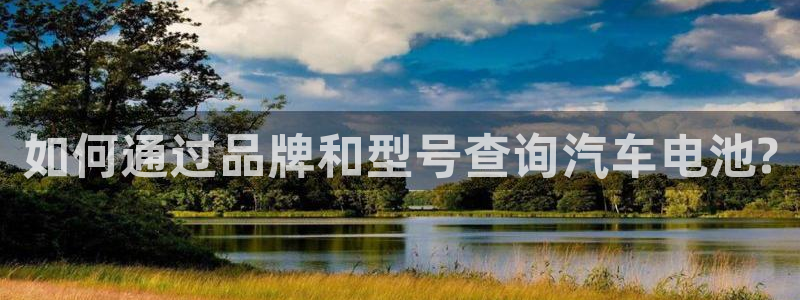 优发国际注册平台怎么样：如何通过品牌和型号查询汽车电池?