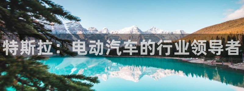 优发国际手机安装登录不了：特斯拉：电动汽车的行业领导者