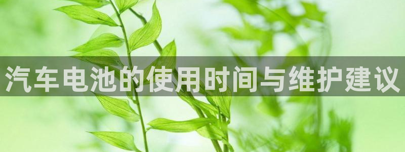 优发国际平台u8是什么软件