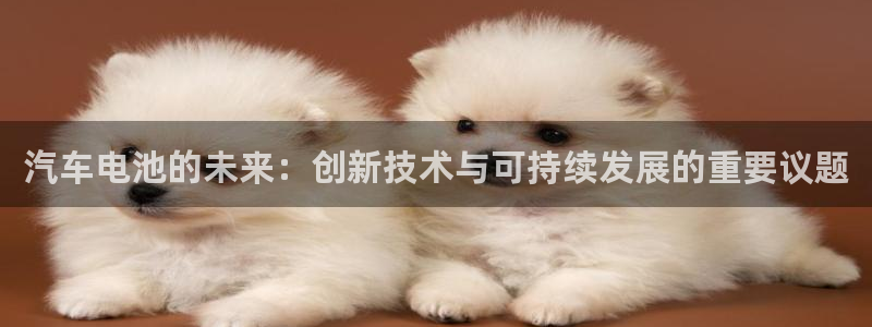 优发国际app官网下载安装：汽车电池的未来：创新技术与可持续发展的重要议题