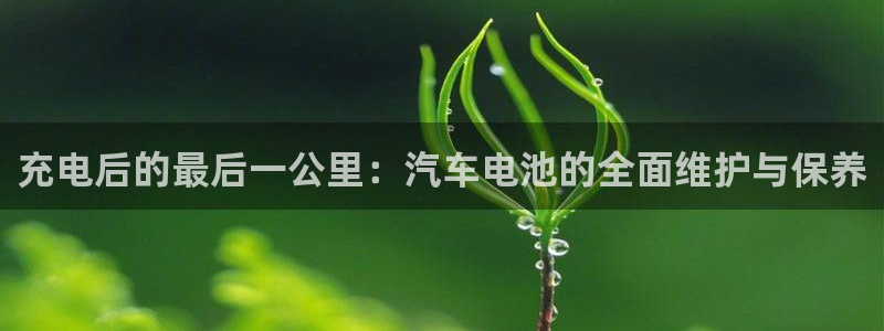 优发国际平台g8：充电后的最后一公里：汽车电池的全面维护与保养