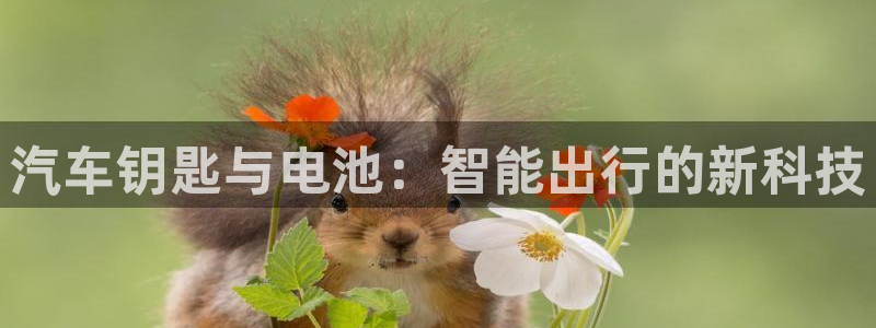 优发国际是大平台吗还是小平：汽车钥匙与电池：智能出行的新科技