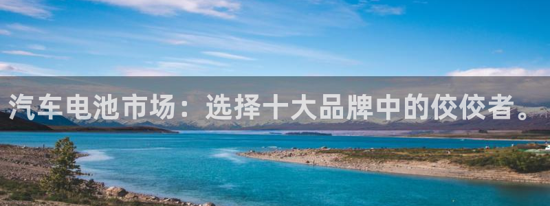 优发国际平台app下载：汽车电池市场：选择十大品牌中的佼佼者。