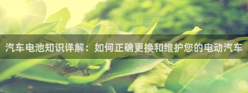 优发国际官方网：汽车电池知识详解：如何正确更换和维护您的电动汽车