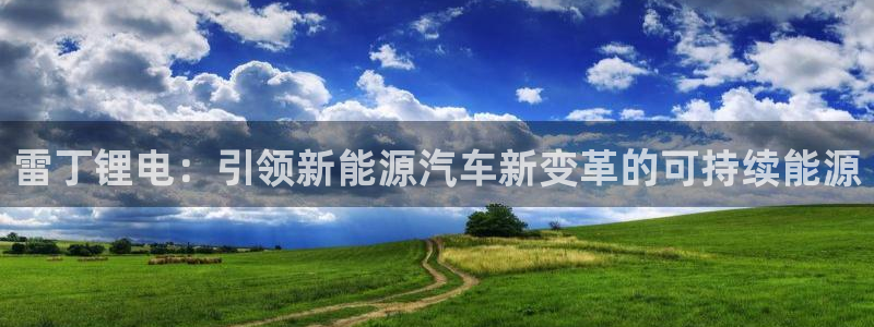 优发国际网站：雷丁锂电：引领新能源汽车新