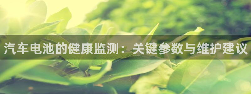 优发国际手机客户端下载安装苹果：汽车电池的健康监测：关键参数与维护建议