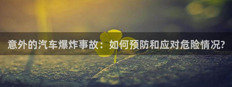 优发国际集团股份有限公司招聘：意外的汽车爆炸事故：如何预防和应对危险情况?
