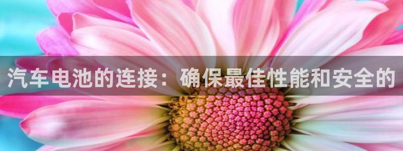 优发国际手机app下载安装：汽车电池的连接：确保最佳性能和安全的