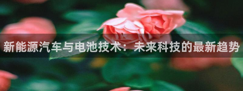 优发国际官网手机版入口