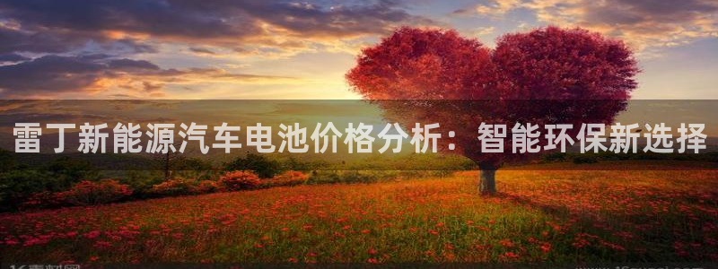 优发国际官方网手机版下载苹果：雷丁新能源汽车电池价格分析：智能环保新选择