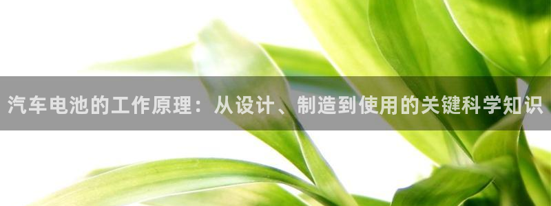 优发国际平台app下载