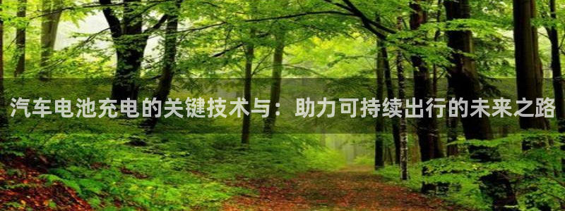 优发游戏官网：汽车电池充电的关键技术与：助力可持续出行的未来之路