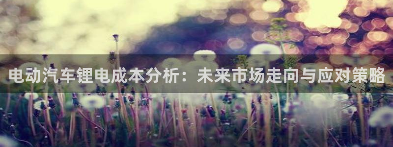 优发国际游戏官方网站：电动汽车锂电成本分析：未来市场走向与应对策略