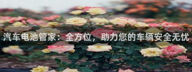 优发娱乐pt官网客户端：汽车电池管家：全方位，助力您的车辆安全无忧