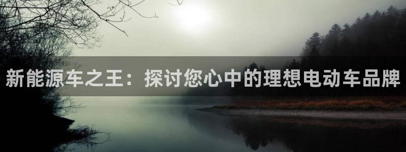 优发国际官网qy88：新能源车之王：探讨您心中的理想电动车品牌