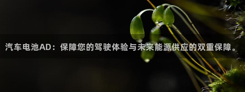优发国际集团股份有限公司