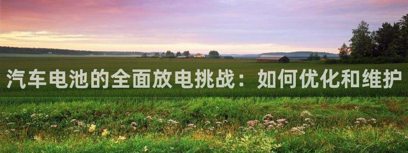 优发国际娱乐官网多少?：汽车电池的全面放电挑战：如何优化和维护