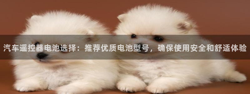 优发国际平台app下载安装：汽车遥控器电池选择：推荐优质电池型号，确保使用安全和舒适体验