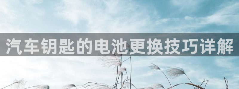优发国际客服联系方式电话：汽车钥匙的电池更换技巧详解